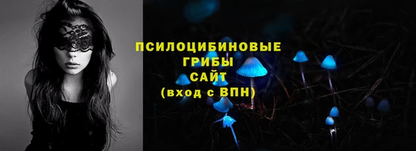 дмт Михайловск