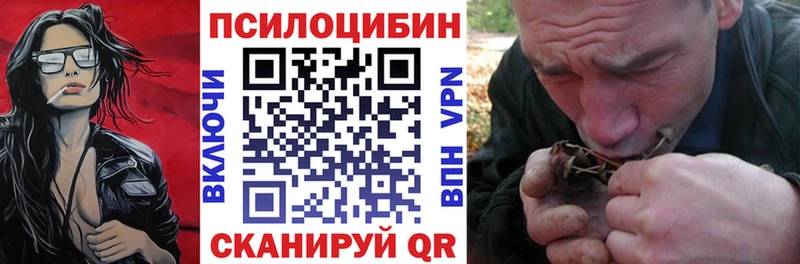 где купить наркоту  Челябинск  blacksprut tor  Псилоцибиновые грибы MAGIC MUSHROOMS 