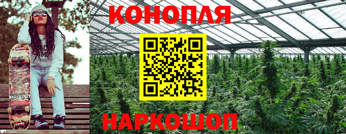 Шишки марихуана Amnesia Челябинск